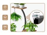Plant Stand Indoor with Grow Lights, Multi-functional Metal Display Stand, 157cm High & 8 Storey Indoor Shelf for Multiple Plants, Curved Shape Plant Stand, Suitable for Living Room, Courtyard, Balcony, Corner (Without Adapte