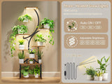 Plant Stand Indoor with Grow Lights, Multi-functional Metal Display Stand, 157cm High & 8 Storey Indoor Shelf for Multiple Plants, Curved Shape Plant Stand, Suitable for Living Room, Courtyard, Balcony, Corner (Without Adapte