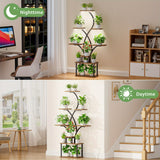 A Single Indoor Plant Stand with a Growth Light, an 8-Tier Tall Corner Storage Rack, a 157.7Cm Multifunctional Metal Display Shelf Suitable for Plants, Books, And Ornaments, a Curved Design Shelving Unit Ideal for Living Room