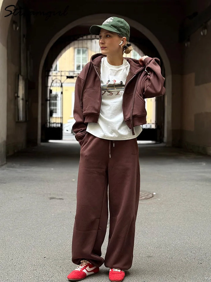 Tute da donna, tuta invernale in pile marrone, calda felpa con cappuccio e cerniera, set di pantaloni da tuta da donna, set di pantaloni in velluto da 2 pezzi