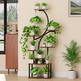 Plant Stand Indoor with Grow Lights, Multi-functional Metal Display Stand, 157cm High & 8 Storey Indoor Shelf for Multiple Plants, Curved Shape Plant Stand, Suitable for Living Room, Courtyard, Balcony, Corner (Without Adapte